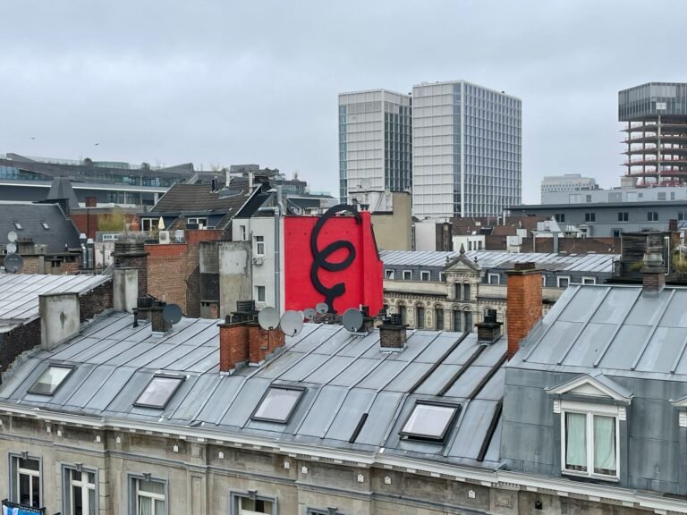 Vue sur les toits de Bruxelles depuis un chantier Immo-Factory